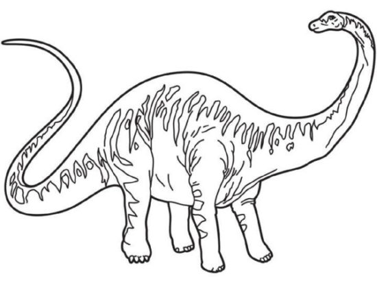 Dinosaurios para colorear dibujos (10)