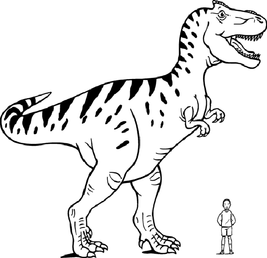 Dinosaurios para colorear dibujos (2)