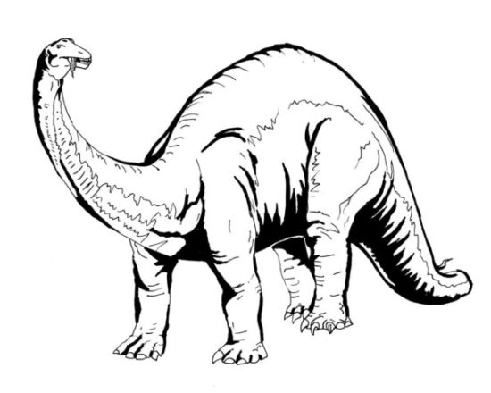 Dinosaurios para colorear dibujos (6)