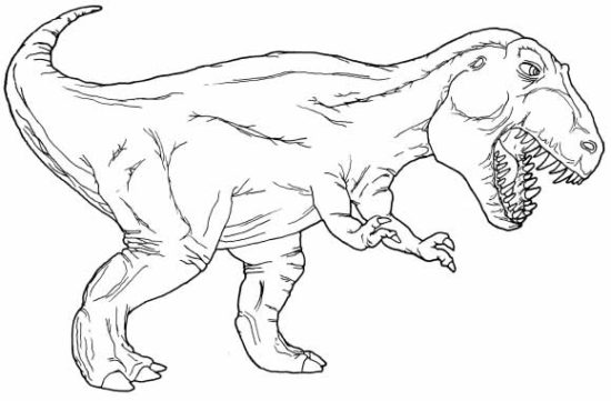 Dinosaurios para colorear dibujos (8)