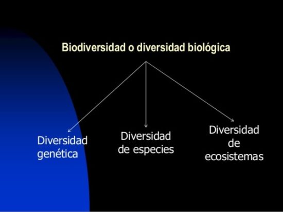 Día de la Biodiversidad  (14)