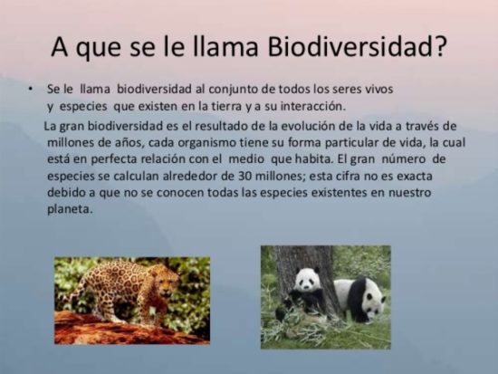 Día de la Biodiversidad  (19)