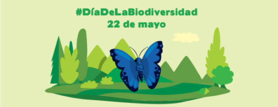 Día de la Biodiversidad  (25)