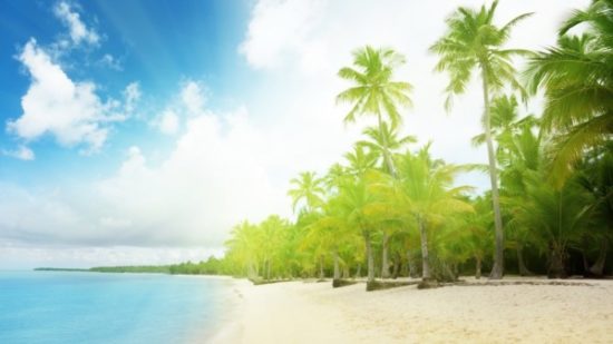 Playa sol y palmeras  (1)
