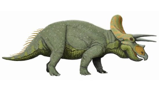 especies de Dinosaurios (1)