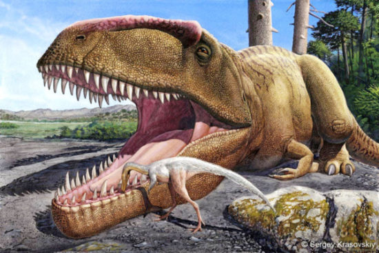 especies de Dinosaurios (11)