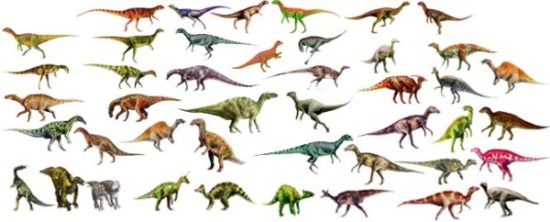 especies de Dinosaurios (2)