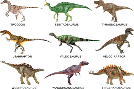 especies de Dinosaurios (27)