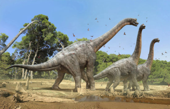 especies de Dinosaurios (5)