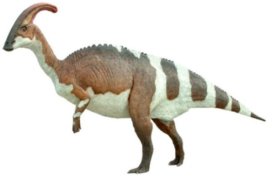 especies de Dinosaurios (6)