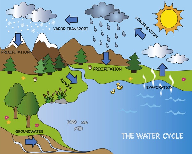 ciclo_del_agua