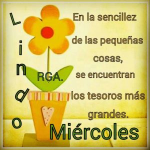 Imágenes, Frases, Mensajes y Tarjetas de “Feliz Día” | Información imágenes